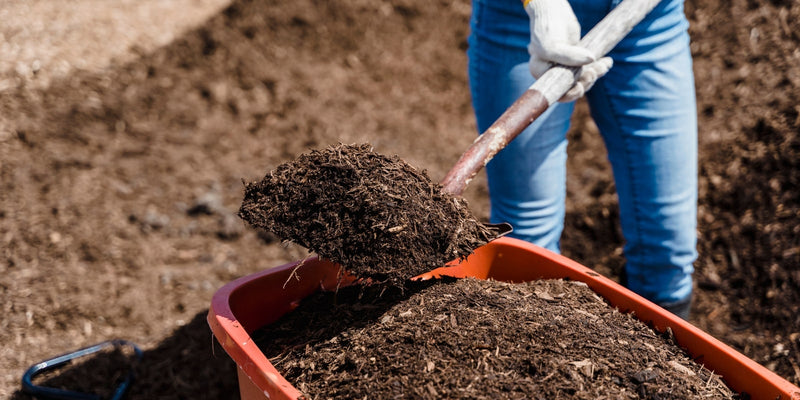 Compost being shovelled