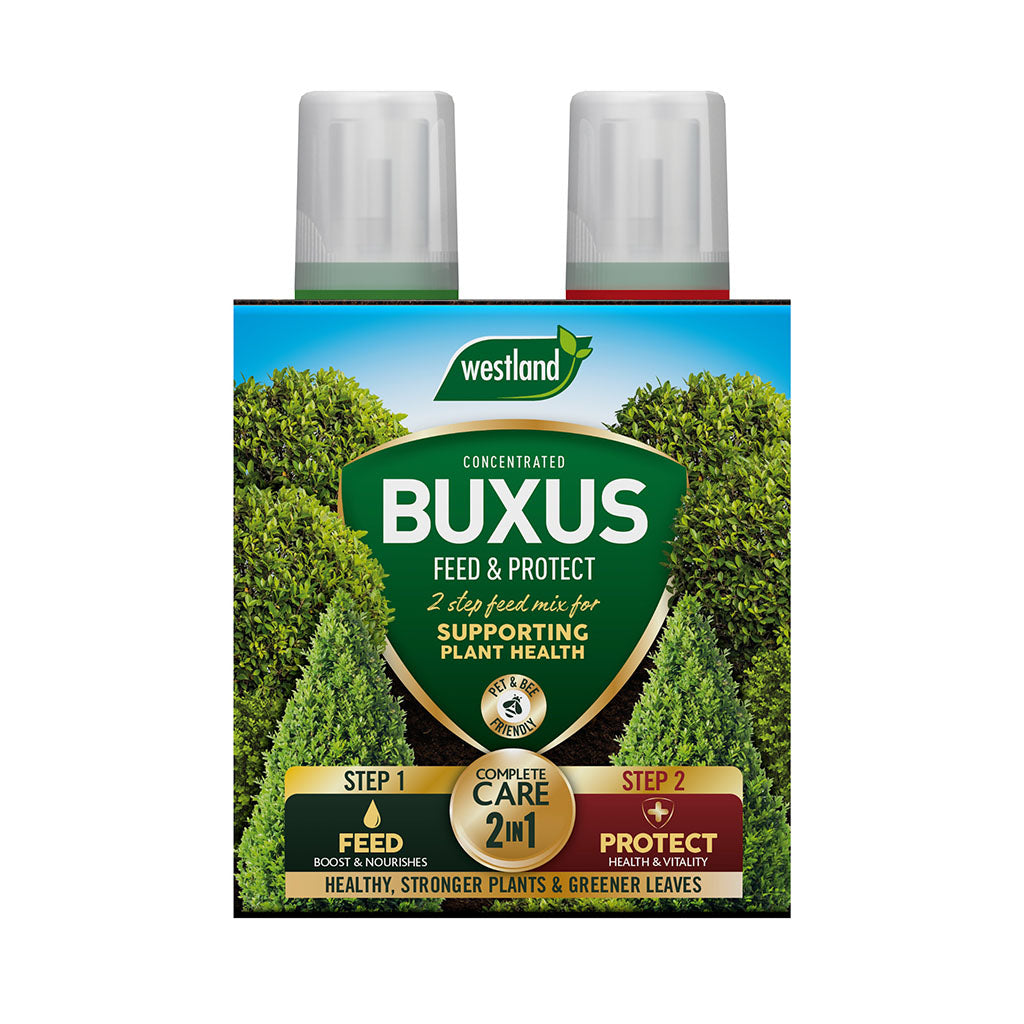 The Westland Buxus Feed & Protect 2 x 500ml set provides two vital components for plant care: Step 1 Buxus Feed to encourage lush, green foliage and Step 2 Protection Concentrate. Accompanied by an image of vibrant green plants, this product is ideal for ensuring strong plant health.