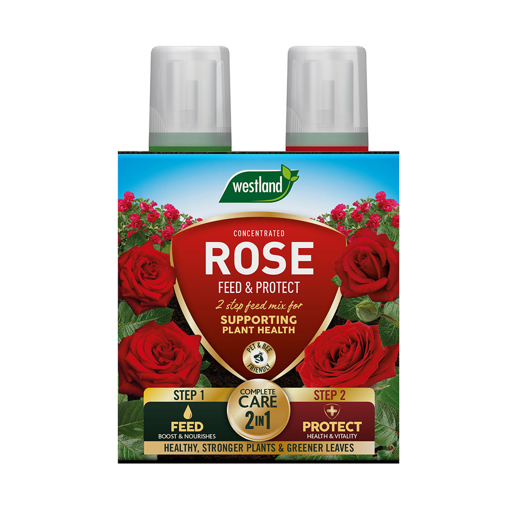 The Westland Rose Feed & Protect 2x 500ml, featuring vibrant red and green labels with images of blooming roses, provides crucial plant protection to help nurture and maintain vibrant flowers.