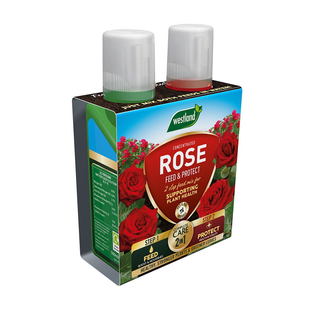 A twin-pack of Westland Rose Feed & Protect 2x 500ml, featuring images of vibrant red roses, designed to promote plant health and ensure stronger growth with enhanced protection.