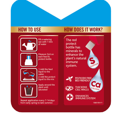 Infographic showcasing how the Westland Rose Feed & Protect 2x 500ml enhances plant protection with sulfur and calcium, resulting in vibrant flowers. Instructions provide details for mixing and applying the product every 7-14 days.