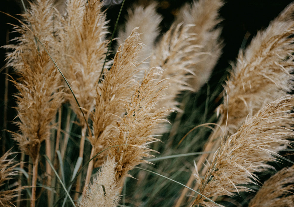 Seasonal Charm and Natural Habitat.