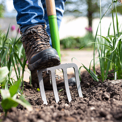 A person wearing boots and jeans tills the garden soil with a Digging Fork - Carbon Steel, surrounded by lush green plants and vibrant flowers. The ergonomic D-shaped handle, crafted from FSC certified ash wood, provides comfort and ease on this sunny day.