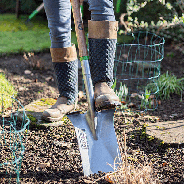 Wearing boots, an individual uses the Digging Spade - Carbon Steel, featuring an FSC certified ash wood handle and Comfort Step foot treads, to effortlessly turn soil in the garden.