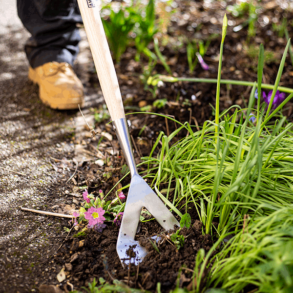 Wearing boots, a person uses the Dutch Hoe - Stainless Steel, known for its rust resistance, to dig soil in a garden filled with green plants and purple flowers.