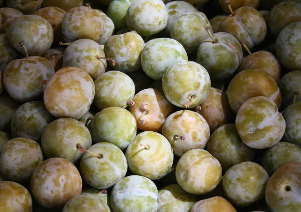 A Harvest of Sweet and Juicy Fruits.