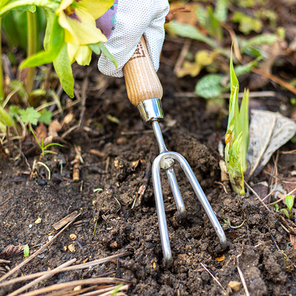 Hand 3 Prong Cultivator