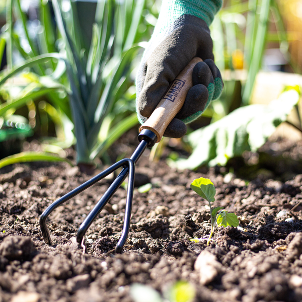 Hand 3 Prong Cultivator