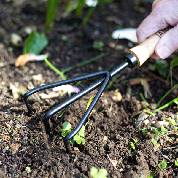 Hand 3 Prong Cultivator