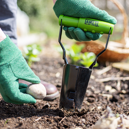 Hand Bulb Planter Carbon Steel