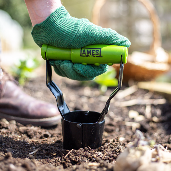 Hand Bulb Planter Carbon Steel