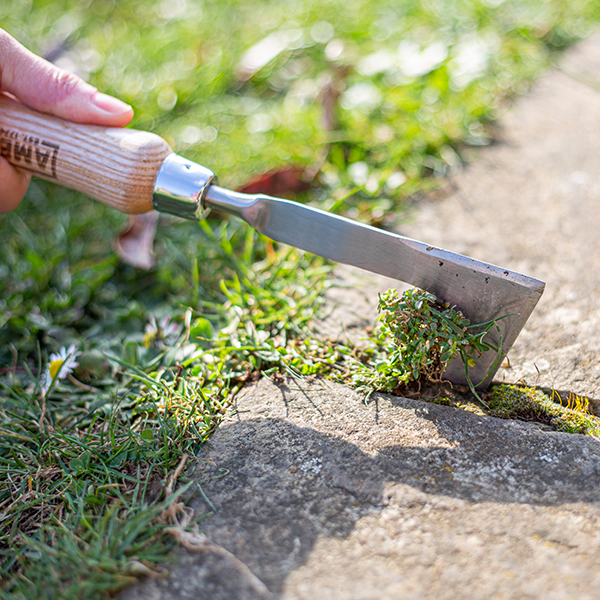 Hand Patio Weeder