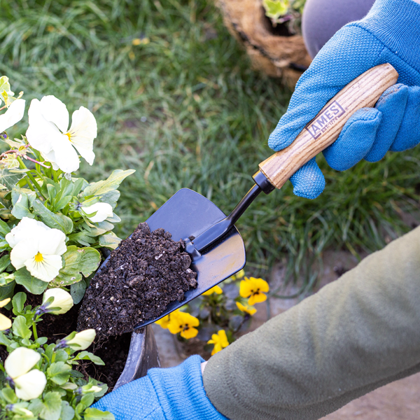 Wearing blue gloves, a person uses the Hand Trowel - Carbon Steel to add soil to a potted plant with white flowers, effortlessly showcasing their trusty gardening tool.