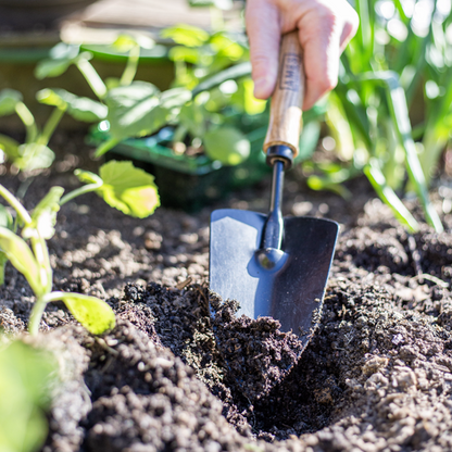 Hand Trowel