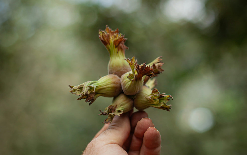 A Harvest to Satisfy Both Gardeners and Nature.