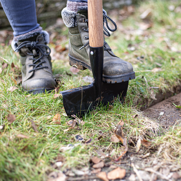 Lawn Edger