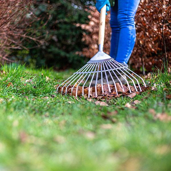 Lawn Leaf Rake