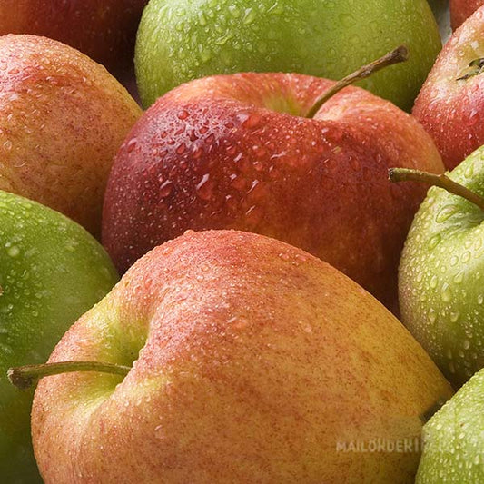 Close-up of a pile of Malus Ribston Pippin apples with red and green skins, glistening with water droplets.