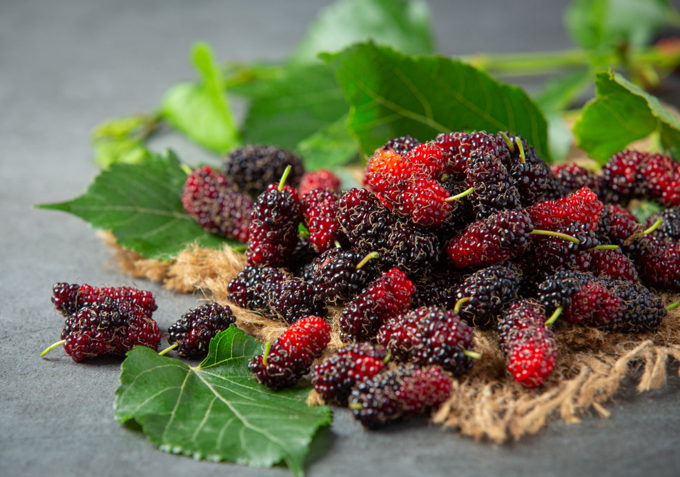 A pile of ripe and unripe mulberries on a burlap surface, surrounded by green leaves.