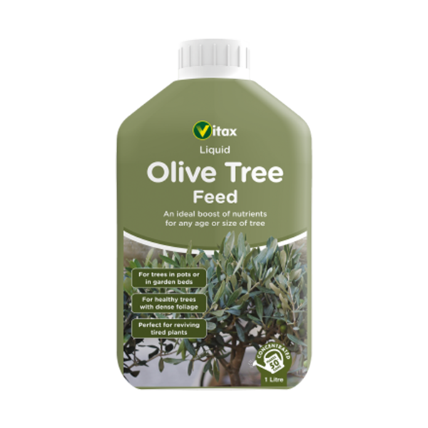 A 1-litre bottle of Olive Tree Liquid Feed, ideal for Mediterranean gardening. This nutrient-rich fertiliser is designed to enhance healthy foliage and rejuvenate tired plants in both potted or garden-grown trees.