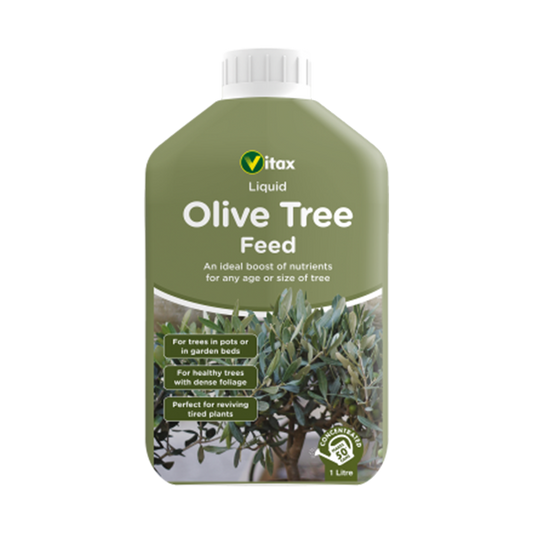 Olive Tree Liquid Feed - 1 Litre