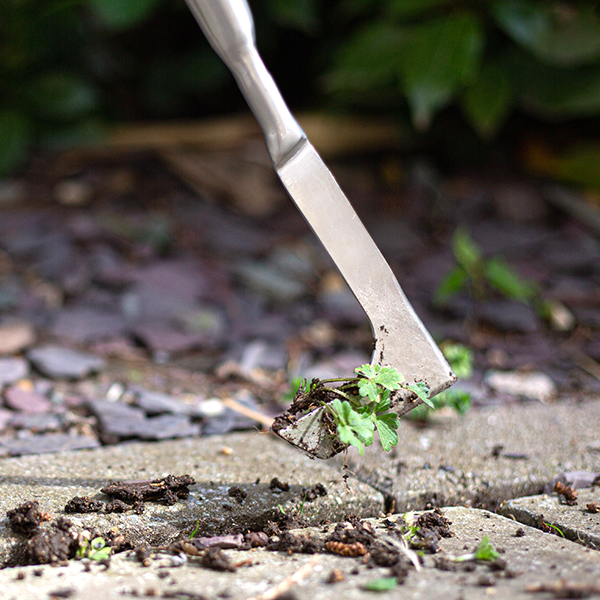 Patio Weeder