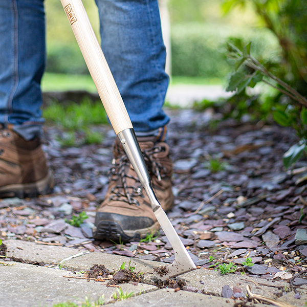 Patio Weeder