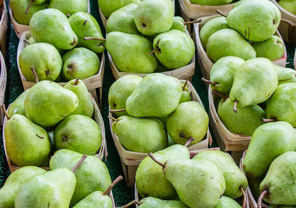 A Harvest of Delicious Home-Grown Fruit.