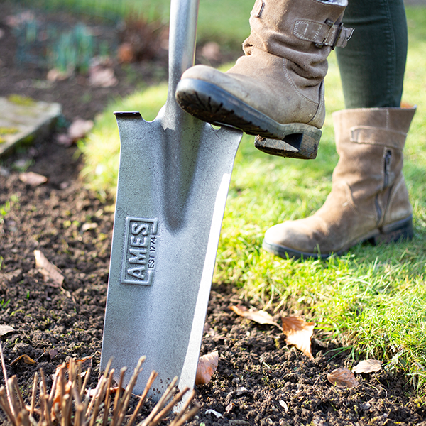 A person wearing brown boots uses the Planting Spade - Carbon Steel to dig soil in a garden, which features an FSC certified ash wood handle and Comfort Step foot treads.