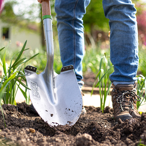 Pointed Shovel