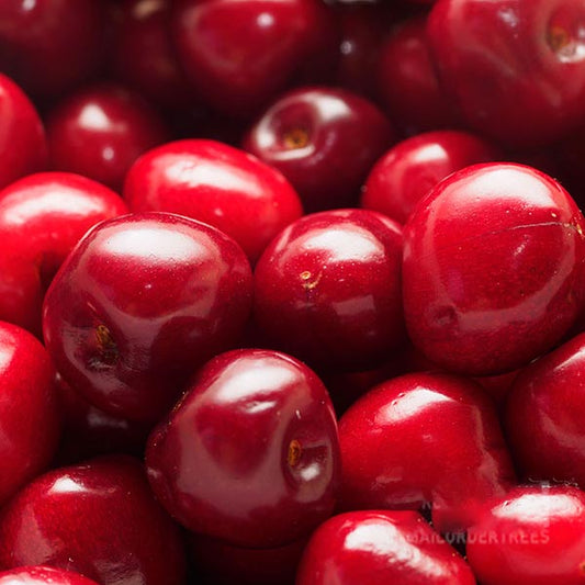 Close-up of a pile of ripe, glossy red cherries from the self-fertile Prunus Celeste - Celeste Cherry Tree.