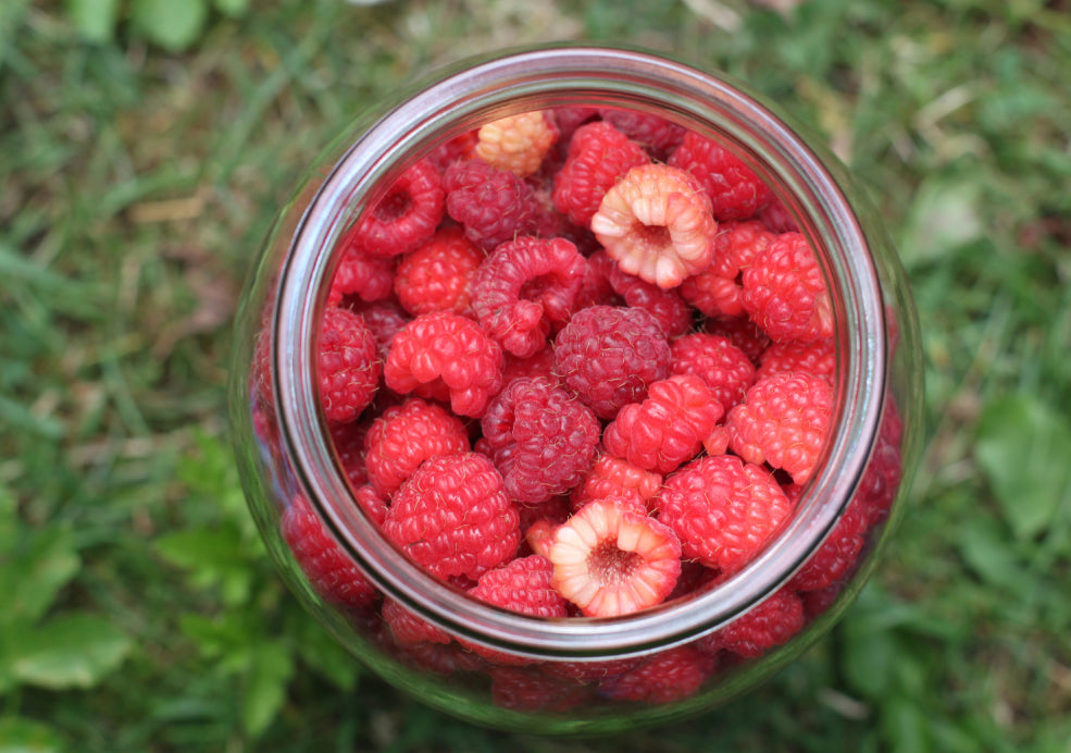 A Bounty of Juicy, Home-Grown Fruit.