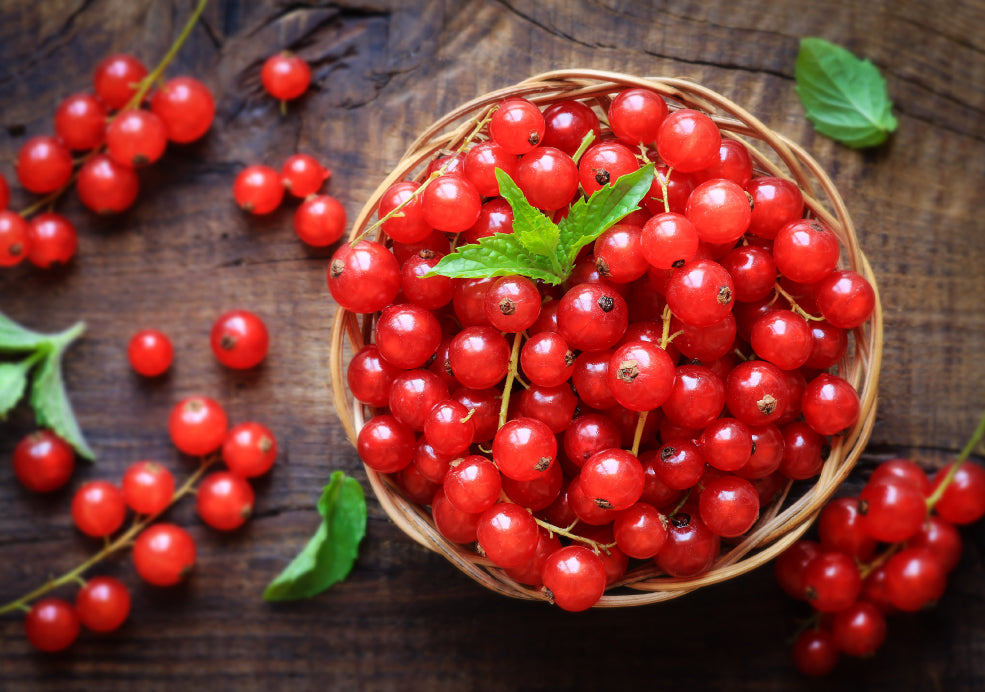 A Harvest of Tangy, Versatile Berries.