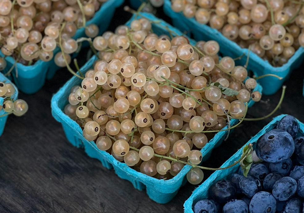 A Versatile Harvest with a Mild, Sweet Flavour