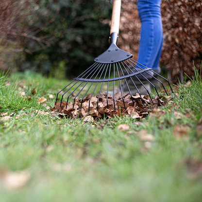 With the durable Wire Leaf Rake - Carbon Steel featuring an FSC certified ash wood handle, one can efficiently collect fallen leaves from a grassy lawn. Benefit from its 15-year guarantee, offering assurance of long-lasting performance season after season.