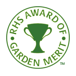 Award-winning garden plants recognized for exceptional beauty and sustainability