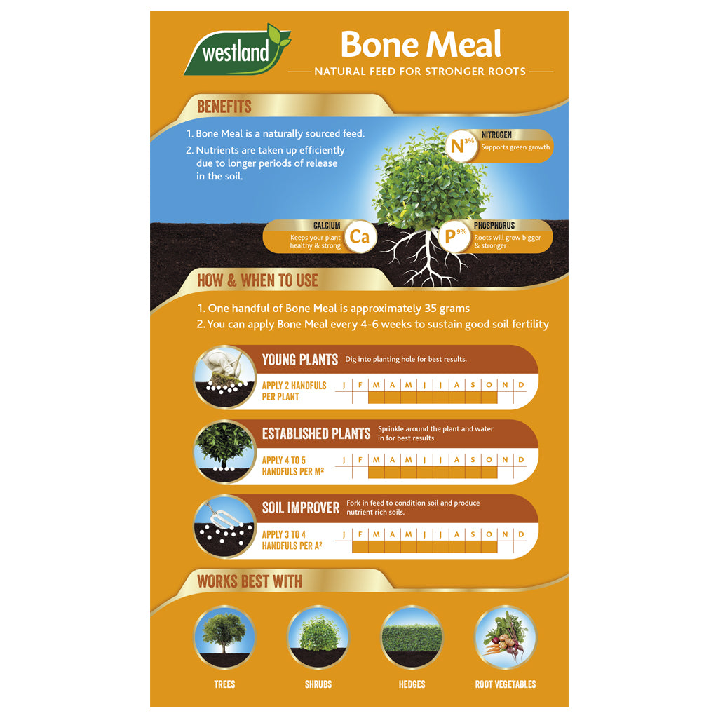 Infographic showcasing the advantages and usage of Westland Bonemeal 1.5Kg fertiliser, emphasising its role in enhancing strong root development. Features instructions for applying it to young plants, established plants, and improving soil by increasing nutrient release.