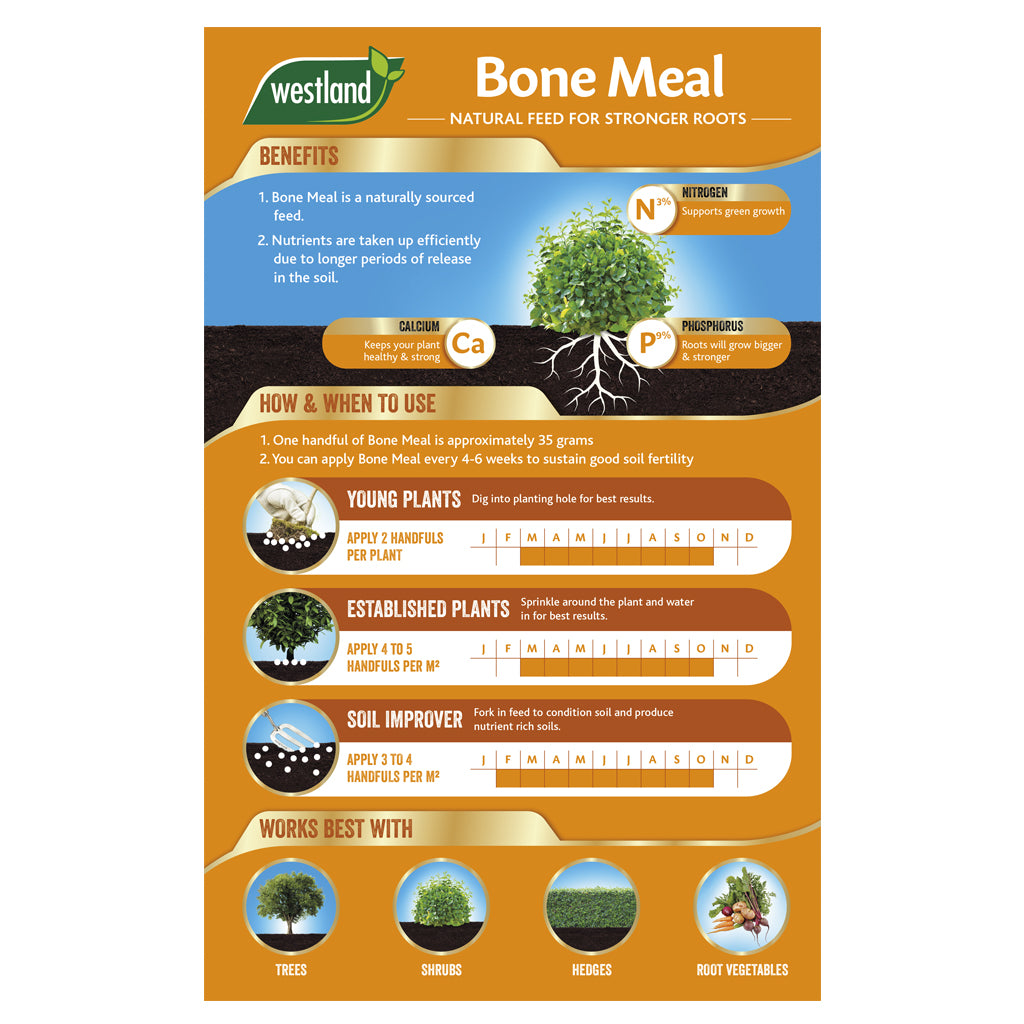 Infographic for Westland Bonemeal 4Kg, emphasising its nutrient-rich phosphorus content. Highlights benefits and application for young plants, established plants, and soil improvement, featuring visuals of plant icons and a nutrient breakdown that promotes robust root growth.