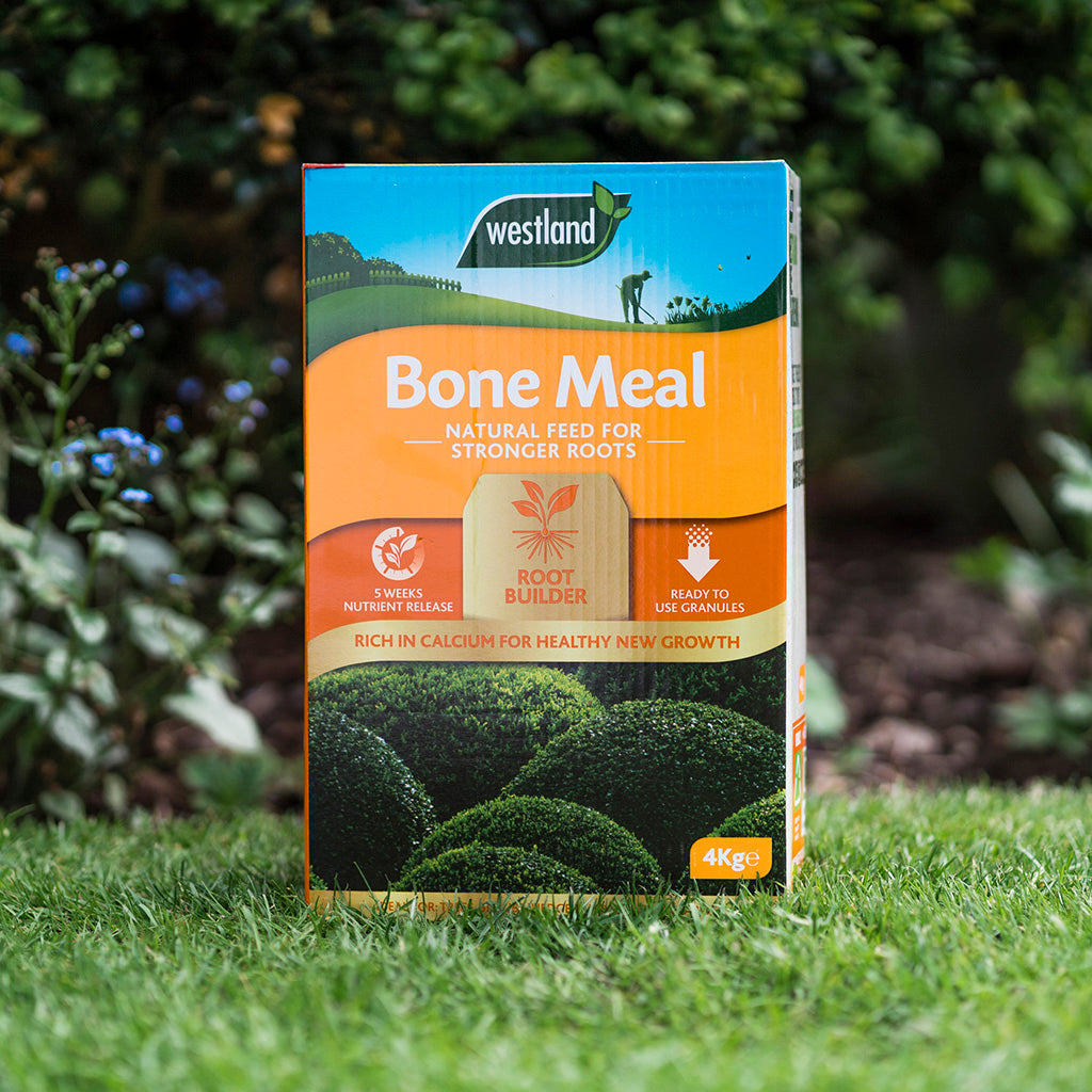 The Westland Bonemeal 4Kg is designed for use on grass, offering natural nourishment to enhance root strength with its root growth benefits and ideal phosphorus content. It includes qualities such as nutrient release and acts as a root builder.