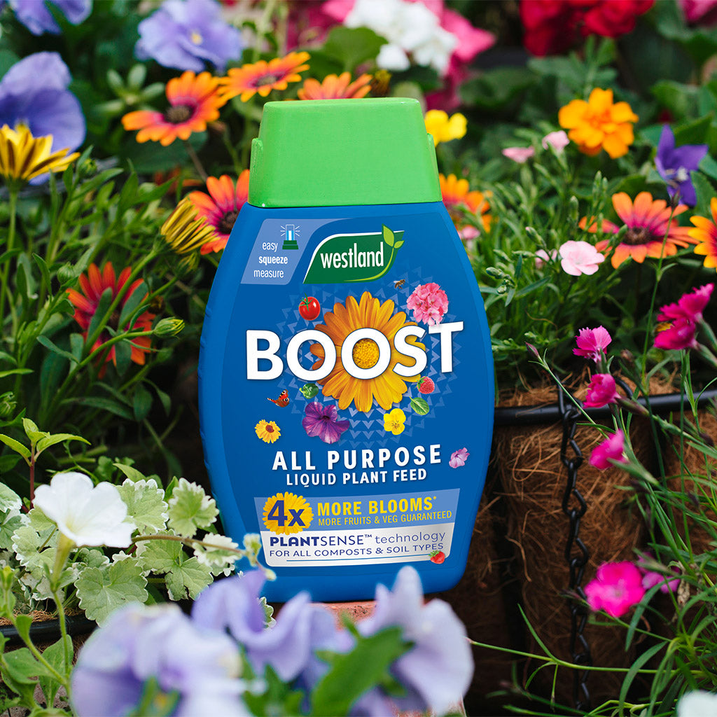 A bottle of Westland Boost All Purpose Liquid Plant Food 1L, featuring the advanced PlantSense Technology, is set amidst vibrant flowers in a garden, promoting lush and healthy growth comparable to nature's seaweed-rich nourishment.