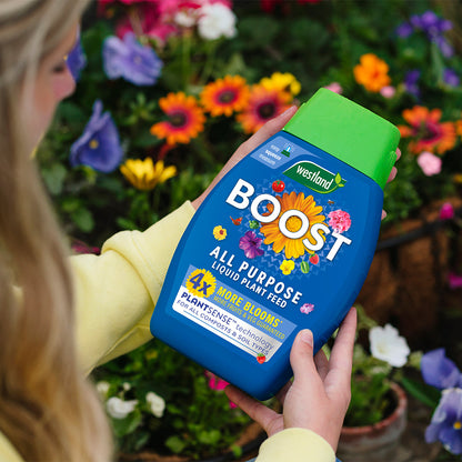 A person holds a bottle of Westland Boost All Purpose Liquid Plant Food 1L, surrounded by vibrant flowers in the background. Infused with PlantSense Technology and enriched with seaweed for healthy growth, it promises to nurture your garden in every season.