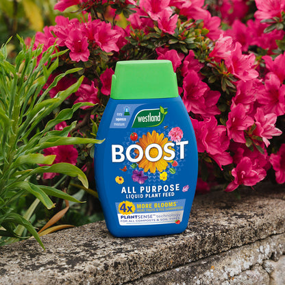 A bottle of Westland Boost All Purpose Liquid Plant Food 1L, enhanced with PlantSense Technology for optimal nourishment, rests on a stone ledge with vibrant pink flowers blooming in the background.