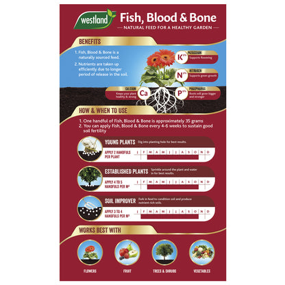 Create an infographic for Westland Fish, Blood & Bone 1.5Kg fertiliser that emphasises the benefits of phosphorus, provides application rates for both young and established plants, and details its role in improving soil quality. This product is ideal for use with flowers, fruit trees, shrubs, and vegetables.