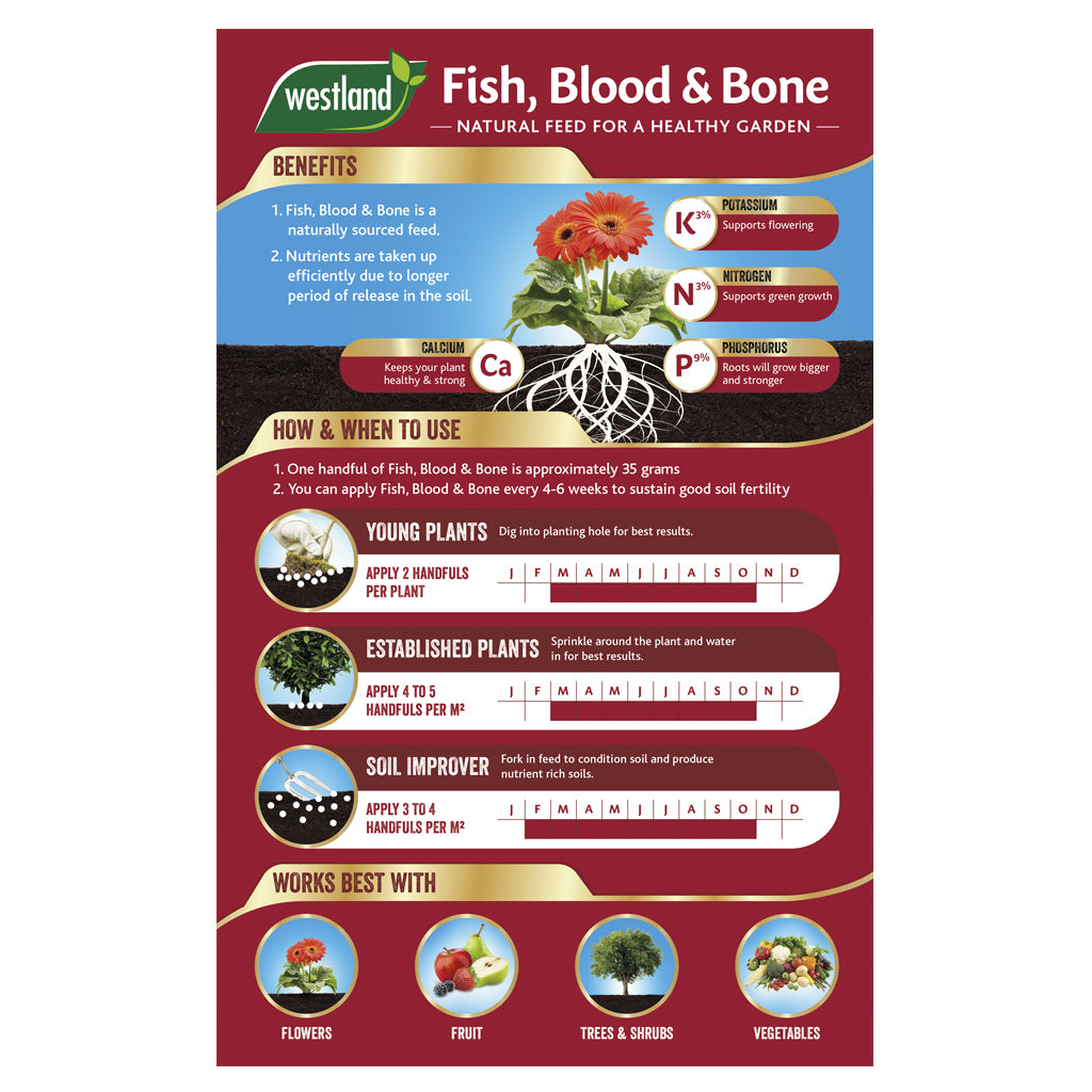 Infographic for Westland Fish, Blood & Bone 4Kg plant food outlining its benefits, nutrient composition, instructions for boosting root growth in plants and enhancing soil fertility, along with examples of produce it can support in growing.