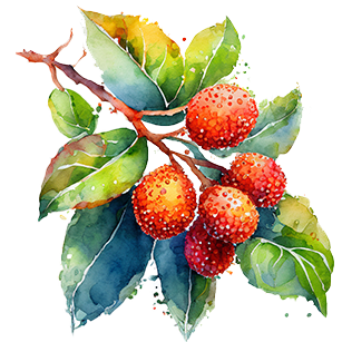 Watercolor painting of a branch with vibrant green leaves and several reddish-orange berries.