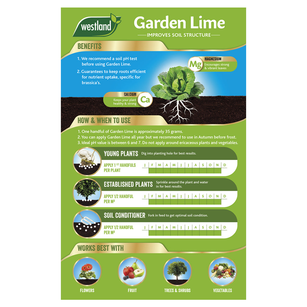 Infographic on Westland Garden Lime 4Kg, highlighting its benefits and providing usage instructions for plants. Discover how this soil conditioner reduces soil acidity and includes tips along with compatible garden items like flowers and vegetables.