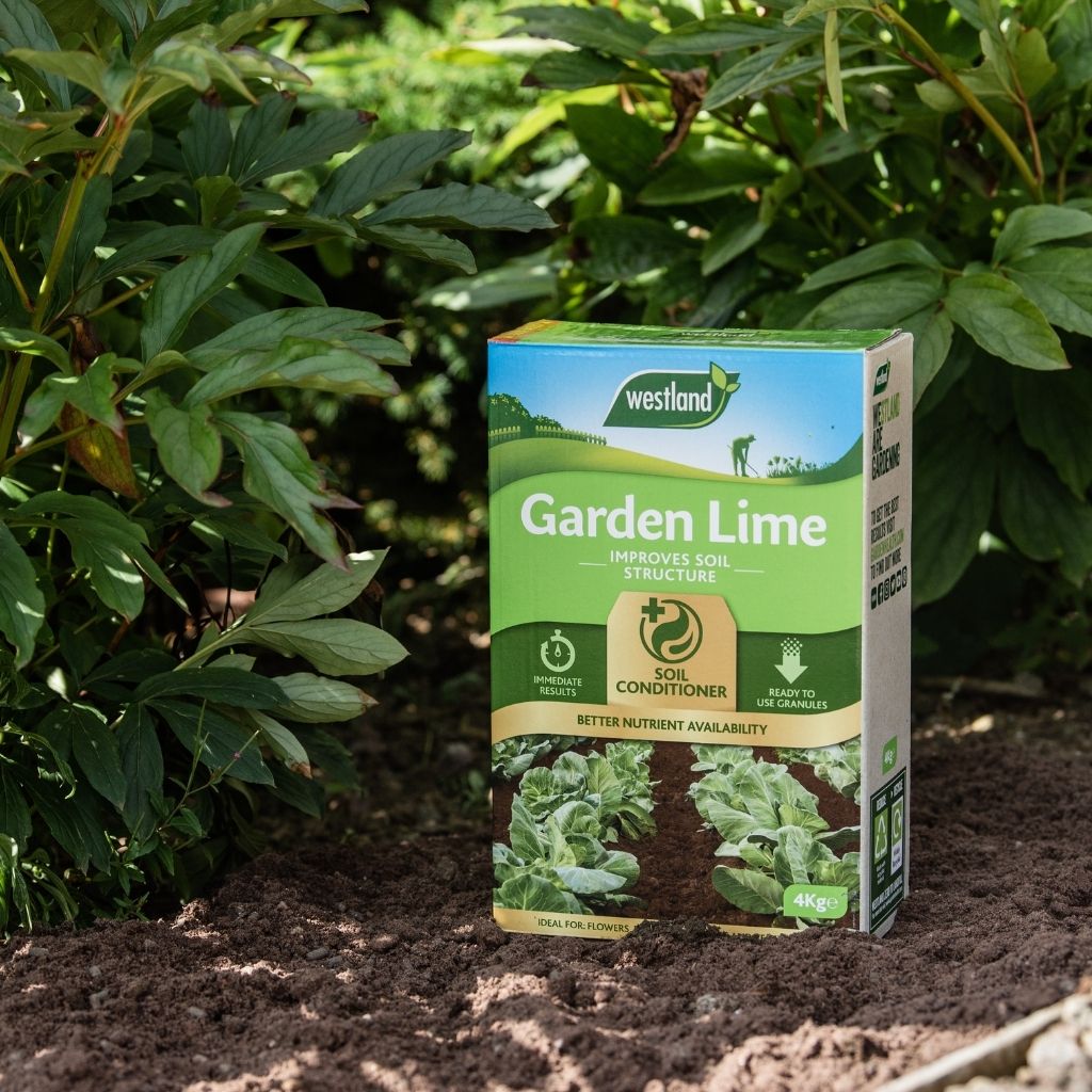 A 4kg box of Westland Garden Lime, the perfect soil conditioner, sits on the earth surrounded by lush green plants.