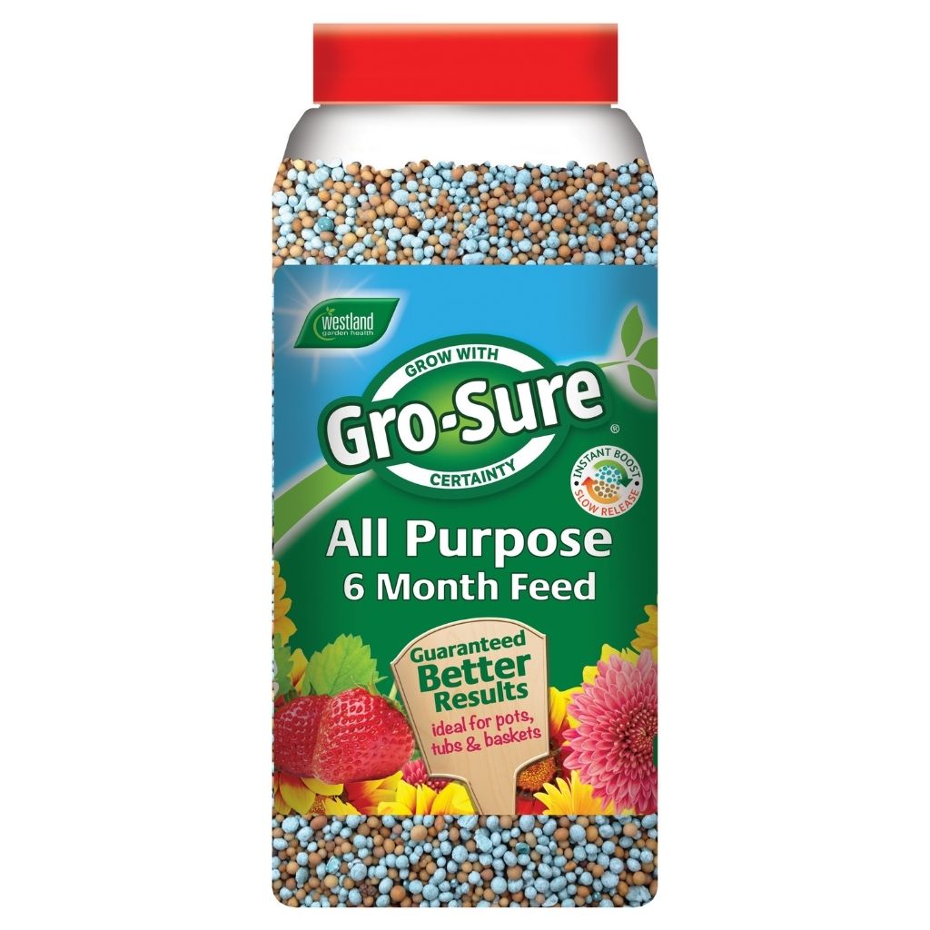 A container of Gro-Sure All Purpose Plant Food 1.1kg delivers slow release nutrients, with a label featuring strawberries, flowers, and the phrase Guaranteed Better Results.