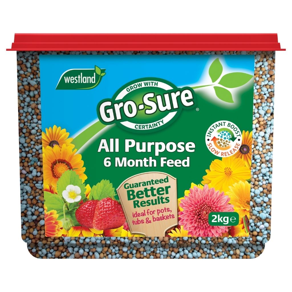 Container of Gro-Sure All Purpose Slow Release Plant Food 2kg, displaying an illustration of colorful flowers and strawberries on the label. This plant food provides nutrients that release slowly to maintain a vibrant and thriving garden.