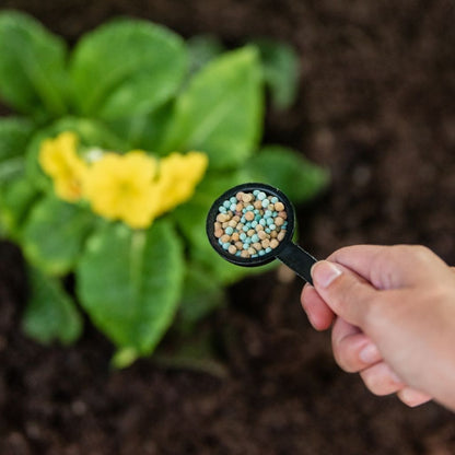 A hand holds a scoop of Gro-Sure All Purpose Slow Release Plant Food 2kg over a yellow-flowered plant in soil, ensuring it receives nutrients essential for vibrant growth.